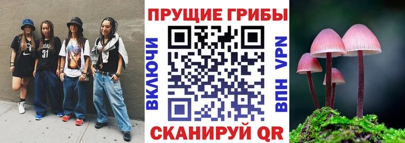 Псилоцибиновые грибы Psilocybine cubensis Инза